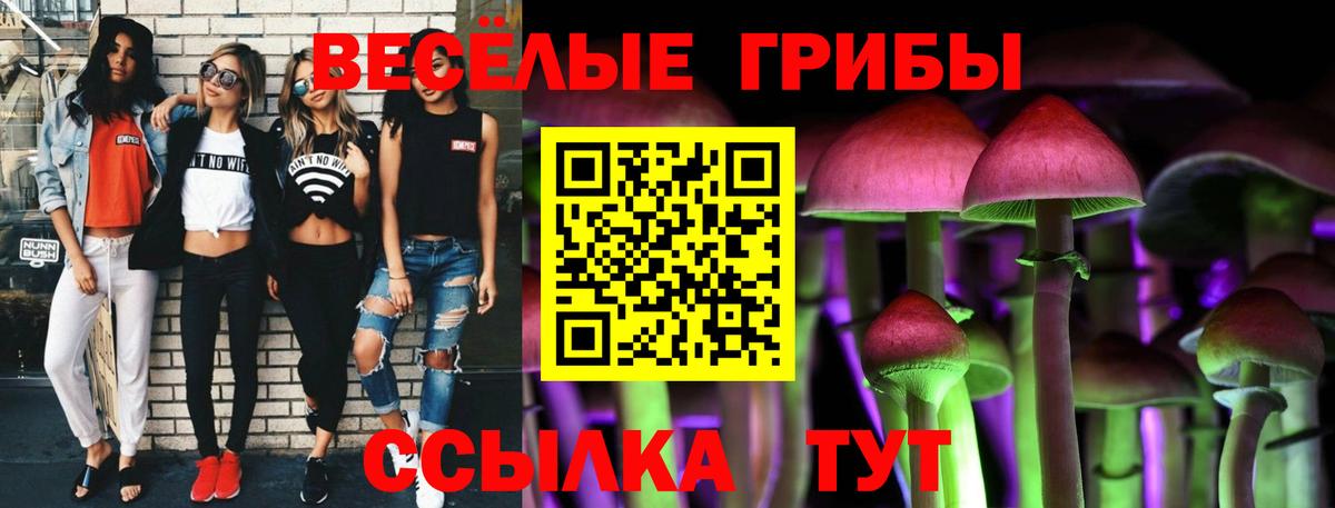 цены   Псилоцибиновые грибы GOLDEN TEACHER  Вход с VPN  Галлюциногенные грибы мицелий  Заводоуковск 
